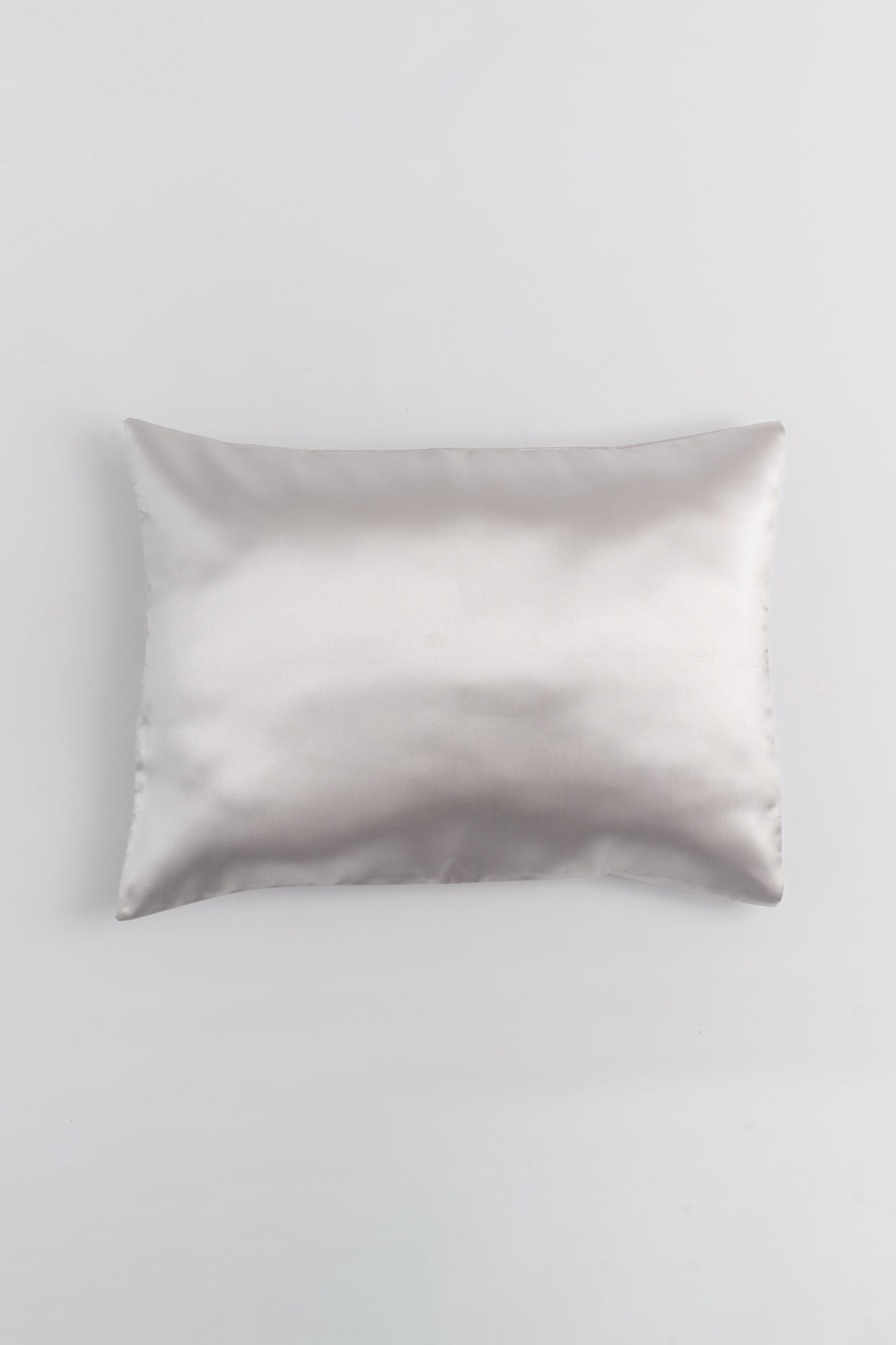 The Franca Pillow Slip / Metal